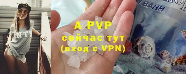 ПСИЛОЦИБИНОВЫЕ ГРИБЫ Волосово