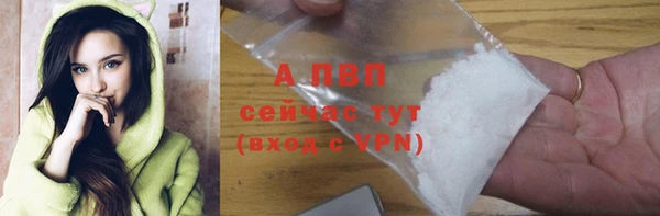 ПСИЛОЦИБИНОВЫЕ ГРИБЫ Волосово